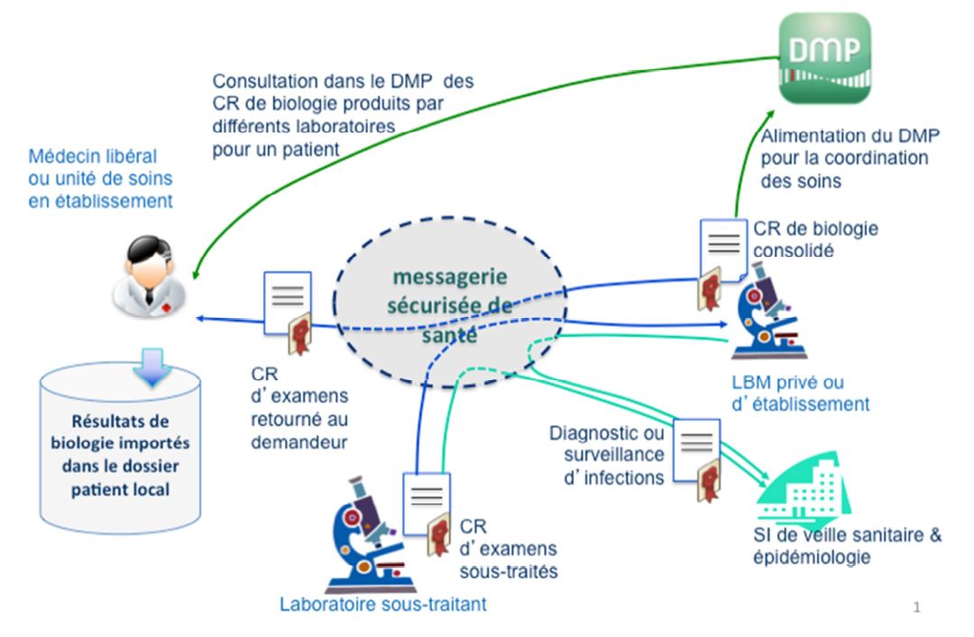 Production et transmission de comptes rendus de biologie structurés par