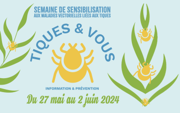 Vignette Tiques & Vous 2024