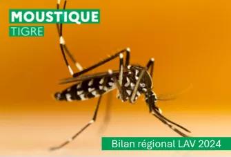 LAV Grand Est - Bilan régional 2024