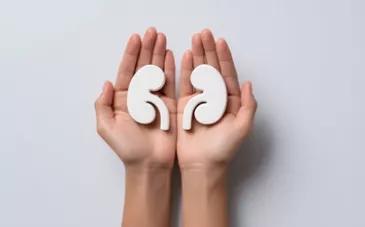 Préserver ses reins