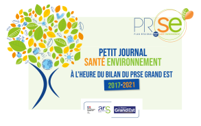 Vignette Bilan PRSE Grand Est 2017-2021