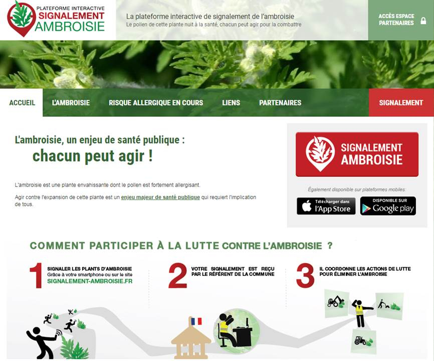 Signalement Ambroisie