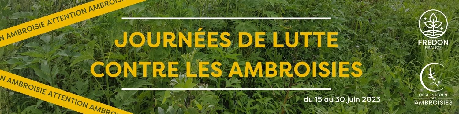  Journées de lutte contre les ambroisies [15 au 30 juin 2023]