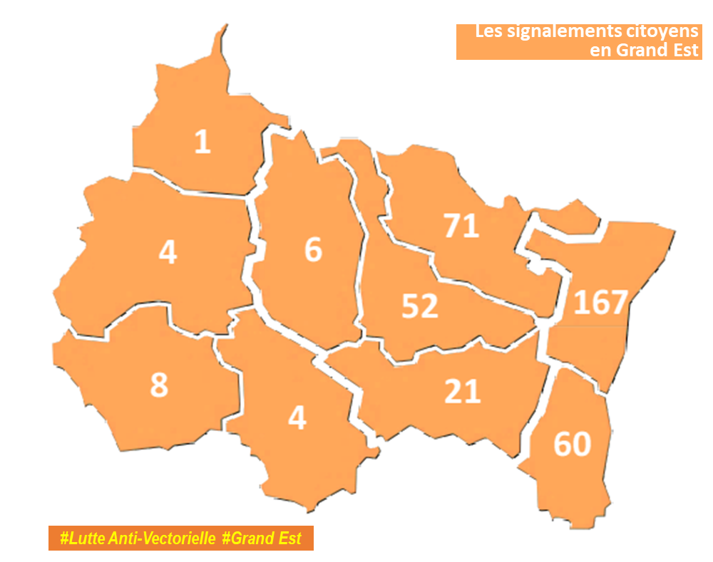 Lutte anti vectorielle en Grand Est : Cartographie des signalements citoyens 2023