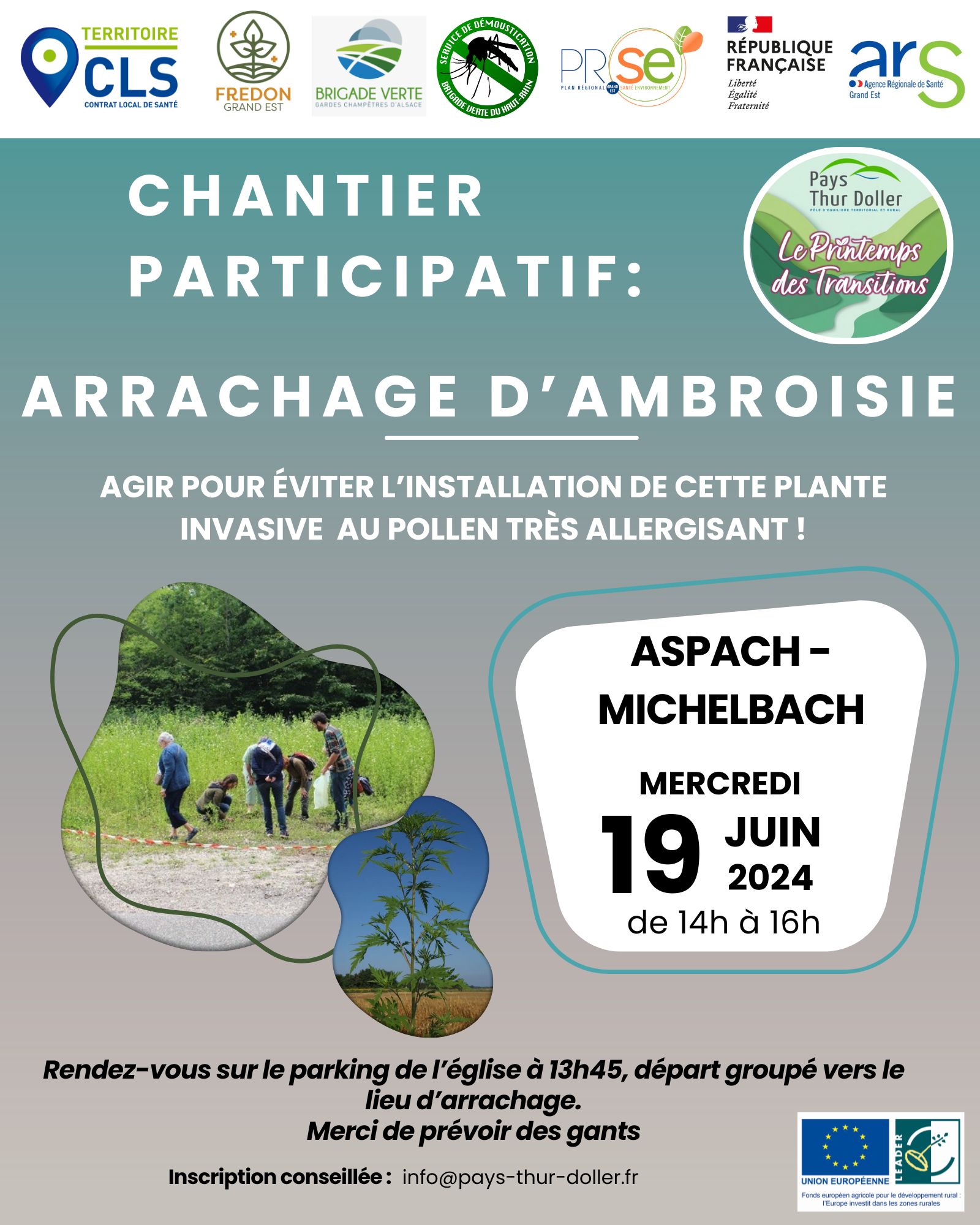 Ambroisie_Affiche Chantier d'arrachage ambroisie à Aspach Michelbach 19.06.24.png