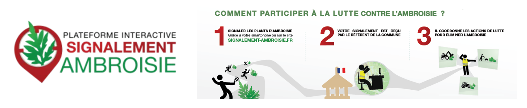 Plateforme interactive Signalement Ambroisie : comment participer à la lutte contre l'ambroisie ?