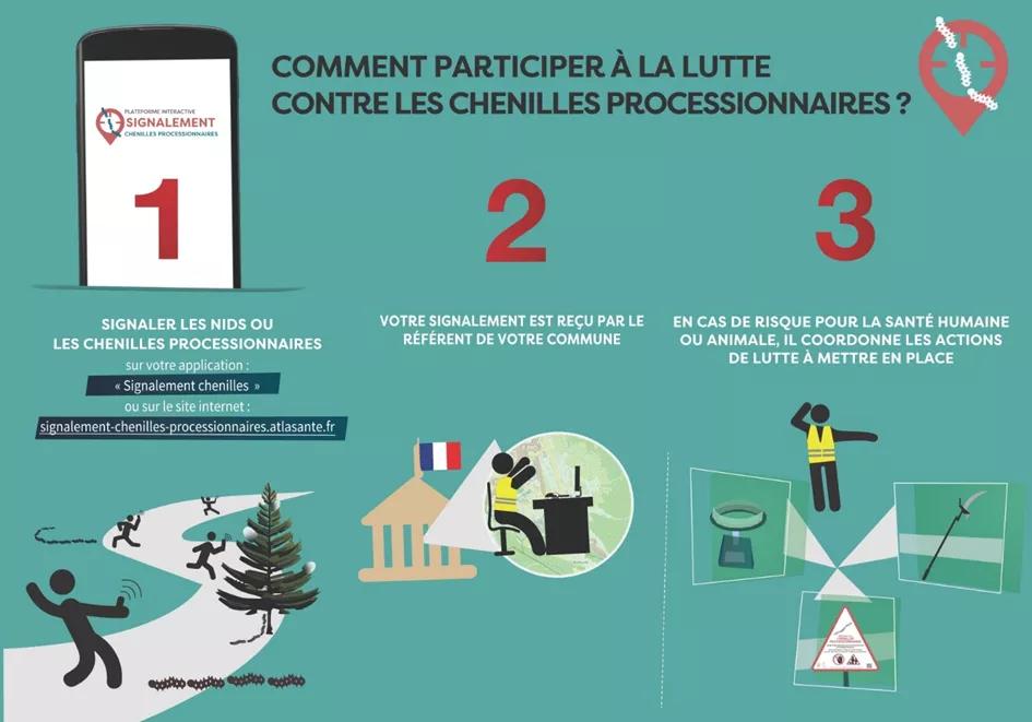 Comment participer à la lutte contre les chenilles processionnaires ? Vous pouvez signaler sur signalement-processionnaire.fr