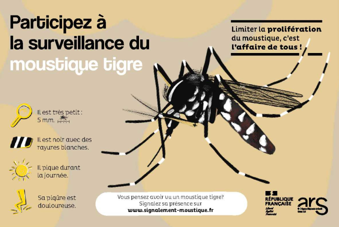 Carte postale-Consignes prévention Moustique Tigre (recto)