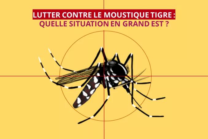 Lutte contre moustique tigre : quelle situation en Grand Est ?