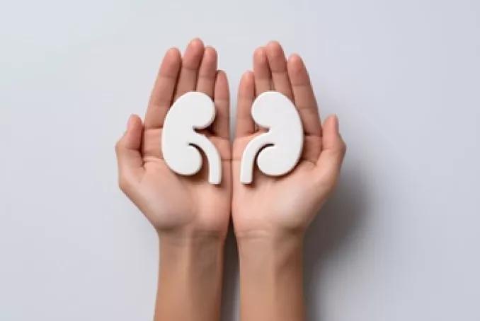 Préserver ses reins