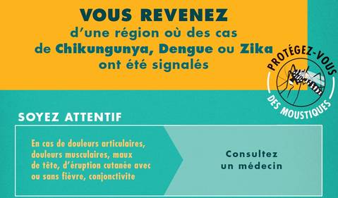 Moustique tigre voyage retour