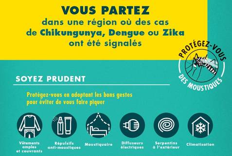 Moustique tigre voyage
