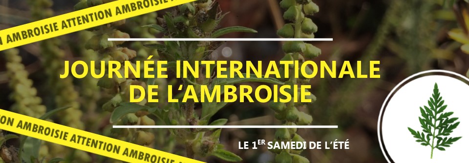 Journée internationale ambroisie