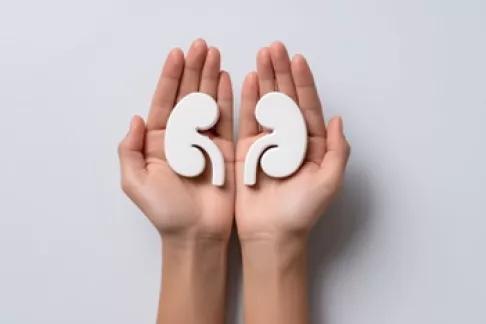 Préserver ses reins