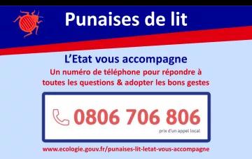 Punaises de lit : L'Etat vous accompagne avec un numéro de téléphone pour répondre àtoutes les questions & adopter les bons gestes au 0806 706 806 