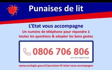 Punaises de lit : L'Etat vous accompagne avec un numéro de téléphone pour répondre àtoutes les questions & adopter les bons gestes au 0806 706 806 