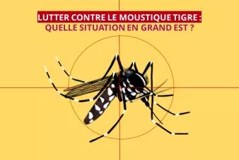 Lutte contre moustique tigre : quelle situation en Grand Est ?