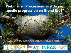 Webinaire Processionnaires du pin 15.10.2026