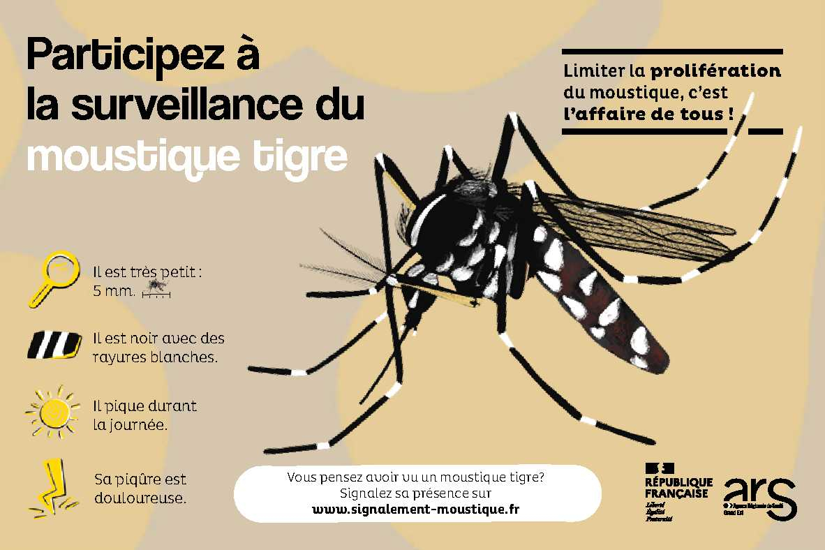 Offensive contre le moustique tigre après un cas de dengue