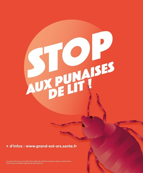 Stop aux punaises de lit