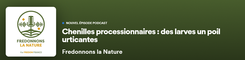 Visuel Podcast Fredon "Chenilles urticantes"