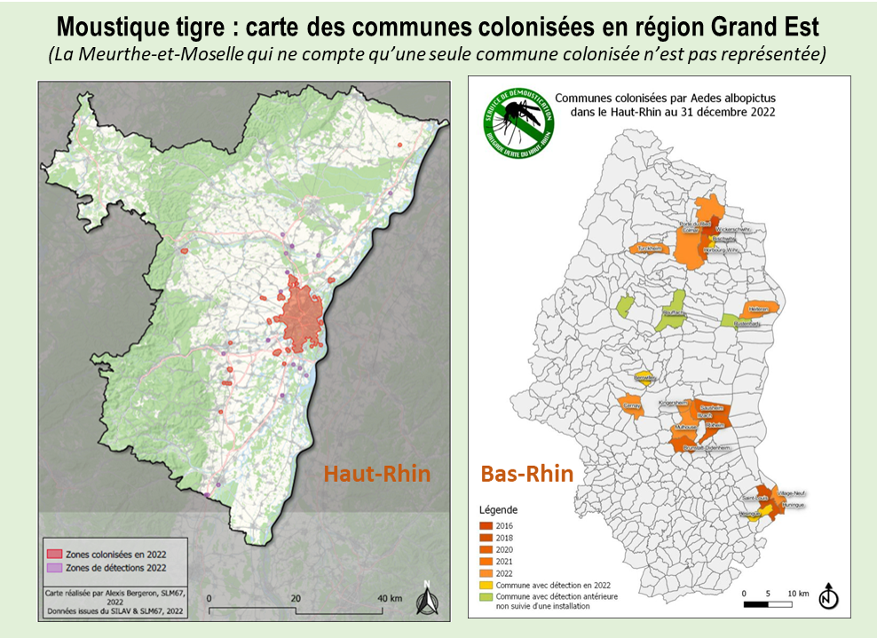 Carte des communes colonisées par le Moustique Tigre en Grand Est 01.01.2023