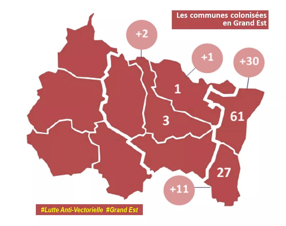 Lutte anti vectorielle en Grand Est : Cartographie des communes colonisées 2023