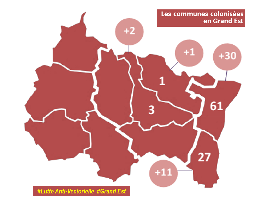 Lutte anti vectorielle en Grand Est : Cartographie des communes colonisées 2023
