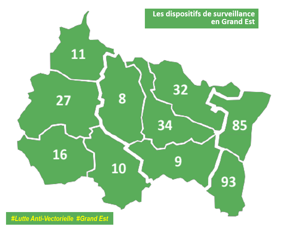 Lutte anti vectorielle en Grand Est : Cartographie des dispositfs de surveillance 2023