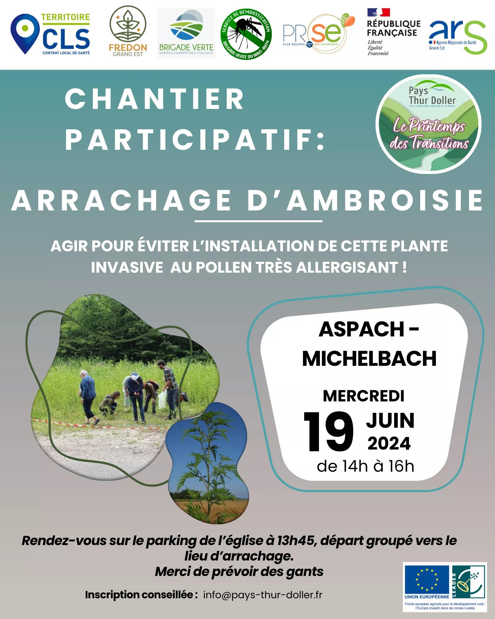 Ambroisie_Affiche Chantier d'arrachage ambroisie à Aspach Michelbach 19.06.24.png