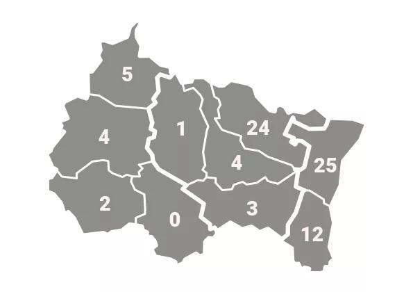 Nombre d'épisodes d'intoxication au monoxyde de carbone par département : Ardennes 5, Aube 2, Marne 4, Haute-Marne 0, Meurthe-et-Moselle 4, Meuse 1, Moselle 24, Bas-Rhin 25, Haut-Rhin 12, Vosges 3.