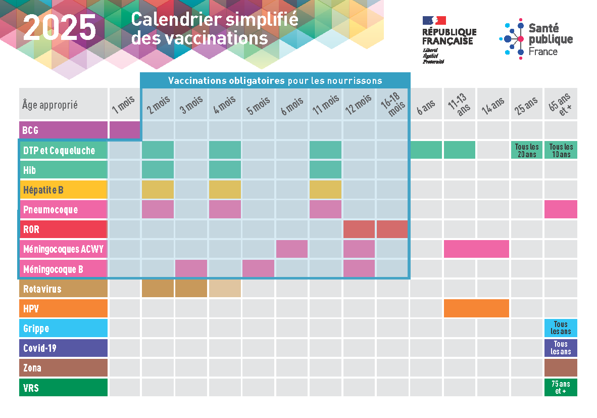 Calendrier simplifié des vaccinations 2025