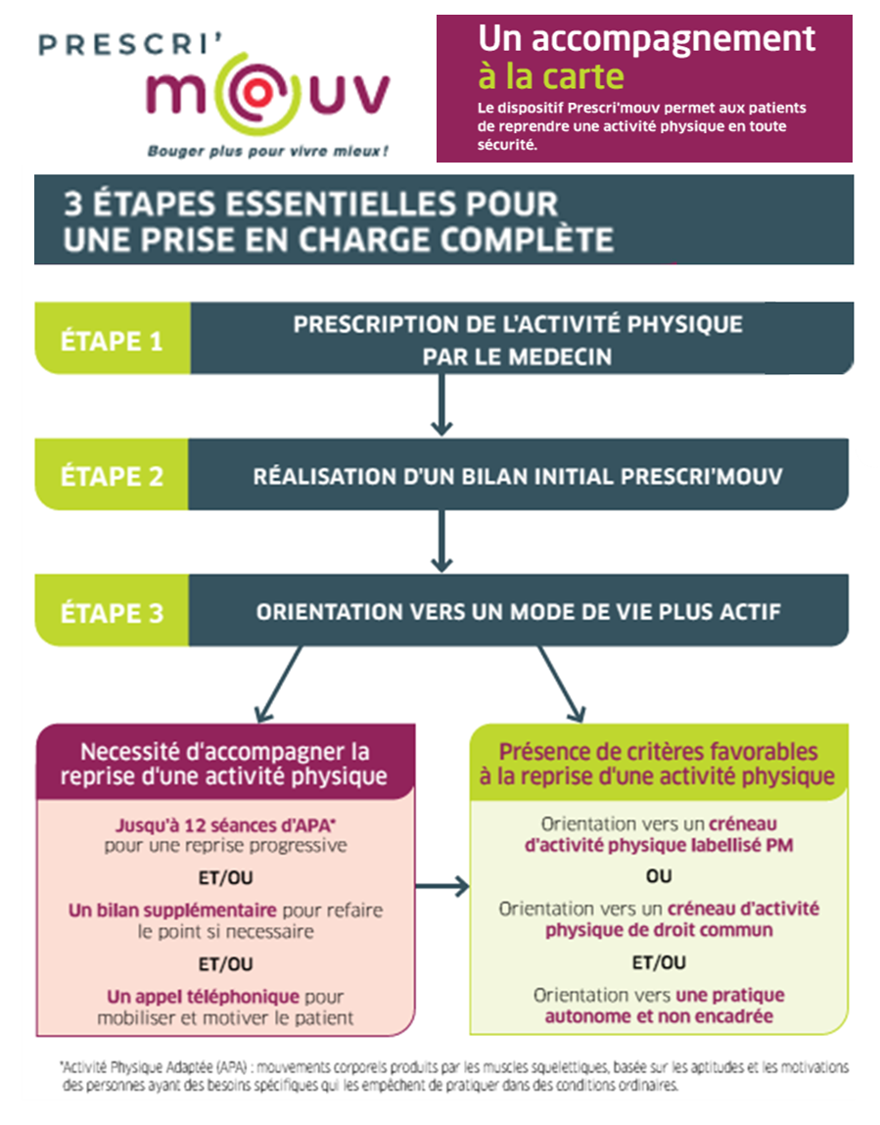 Logigramme Prescri'mouv 2025 : 3 étapes essentielles pour une prise en charge complète