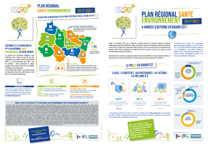 Document Synthèse PRSE Grand Est