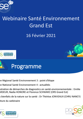 PRSE3 Grand Est-Diaporama webinaire 17.02.2021