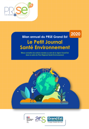 Bilan annuel PRSE 3 Grand Est-Petit Journal Santé Environnement 2020