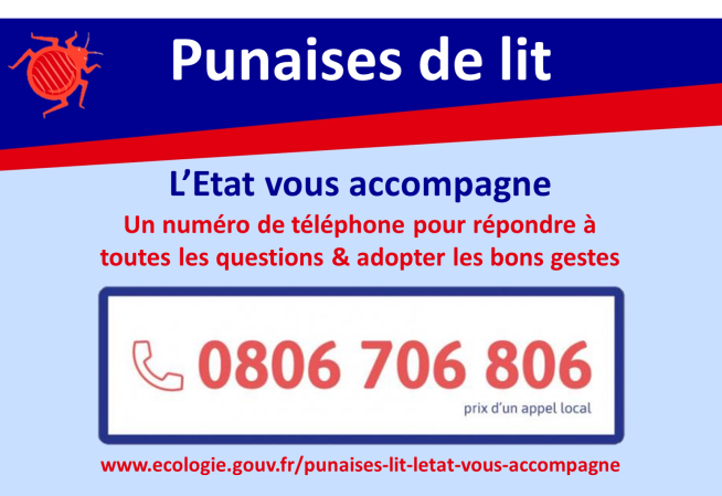 Punaises de lit : L'Etat vous accompagne avec un numéro de téléphone pour répondre àtoutes les questions & adopter les bons gestes au 0806 706 806 