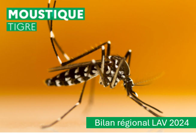 LAV Grand Est - Bilan régional 2024