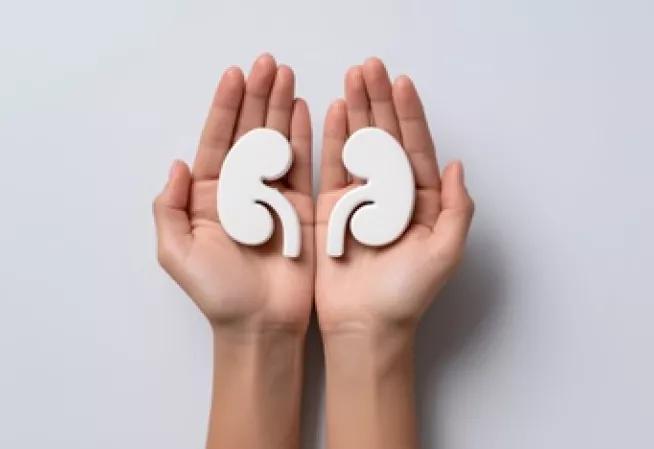 Préserver ses reins