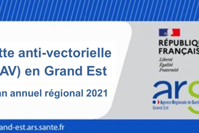 Vignette LAV (moustique tigre) Bilan Grand Est 2021