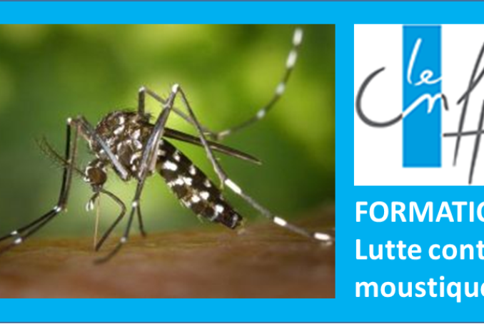 Vignette Formation CNFPT Lutte contre le moustique tigre