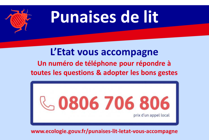 Punaises de lit : L'Etat vous accompagne avec un numéro de téléphone pour répondre àtoutes les questions & adopter les bons gestes au 0806 706 806 