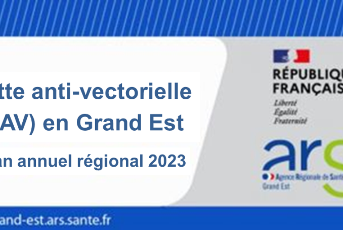 Lutte anti-vectorielle (LAV) en Grand Est - Bilan annuel régional 2023  