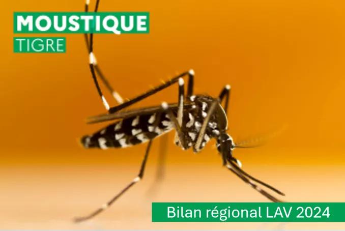 LAV Grand Est - Bilan régional 2024