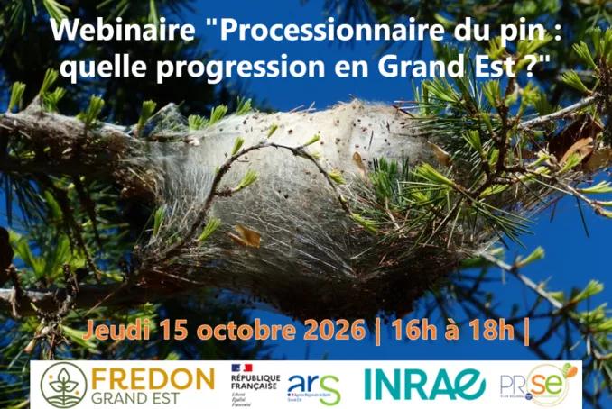 Webinaire Processionnaires du pin 15.10.2026